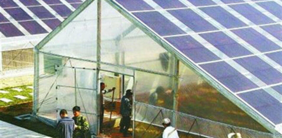 Strong Metal Frame Greenhouse Automatic Systems Solar Energy Green House