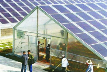 Strong Metal Frame Greenhouse Automatic Systems Solar Energy Green House