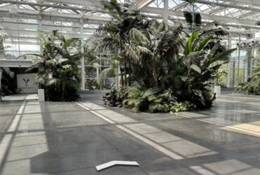 Strong Metal Frame Greenhouse Automatic Systems Solar Energy Green House