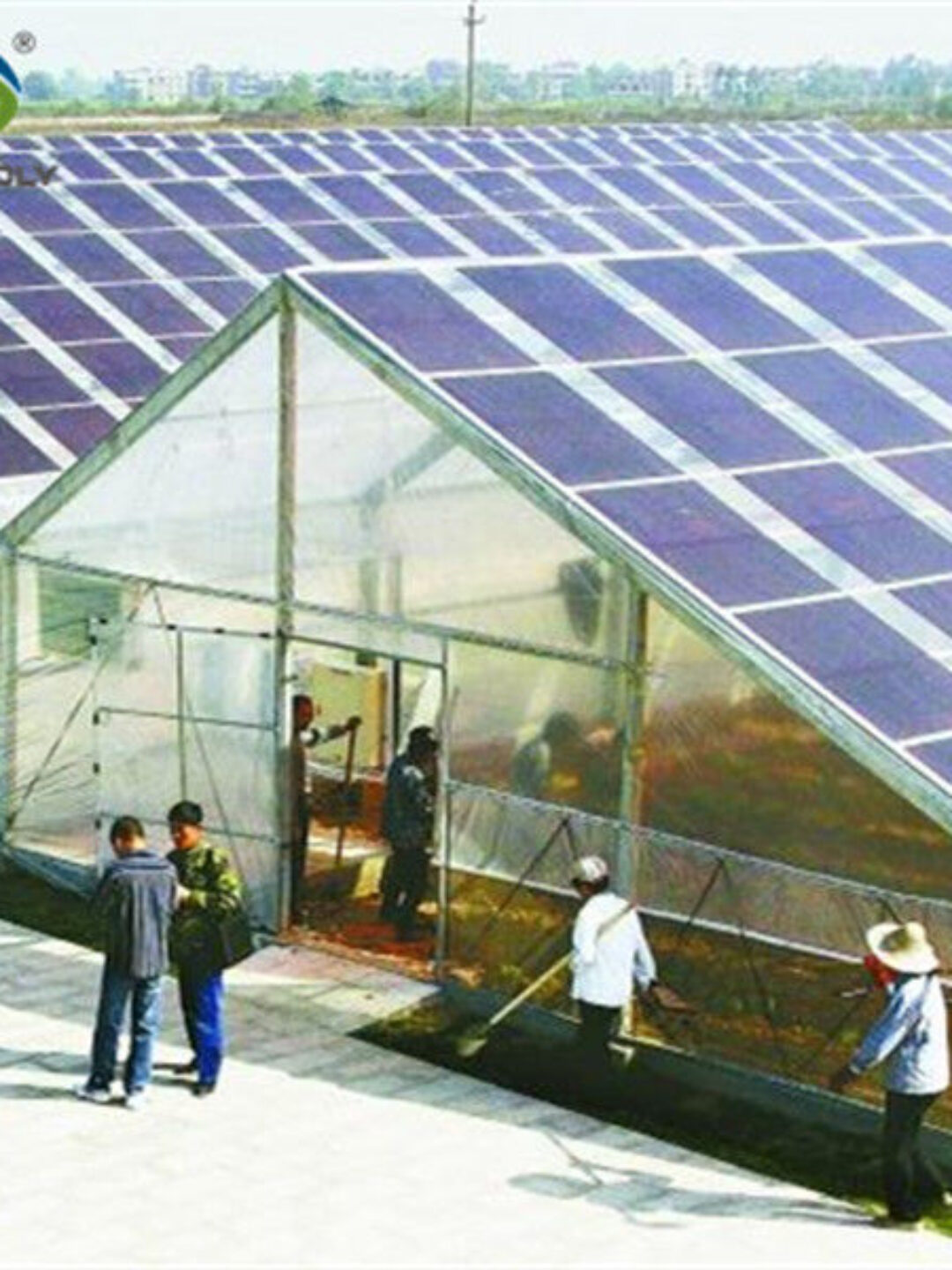 Strong Metal Frame Greenhouse Automatic Systems Solar Energy Green House