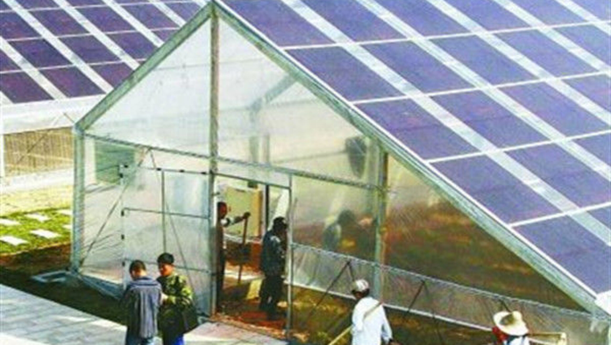 Strong Metal Frame Greenhouse Automatic Systems Solar Energy Green House