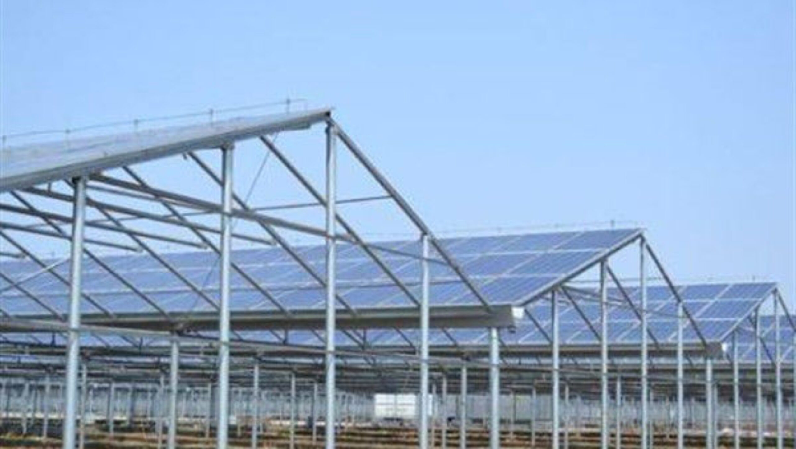 Strong Metal Frame Greenhouse Automatic Systems Solar Energy Green House