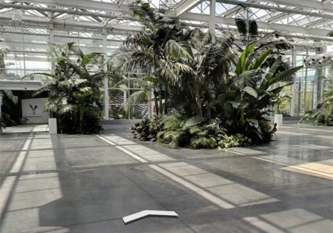 Strong Metal Frame Greenhouse Automatic Systems Solar Energy Green House