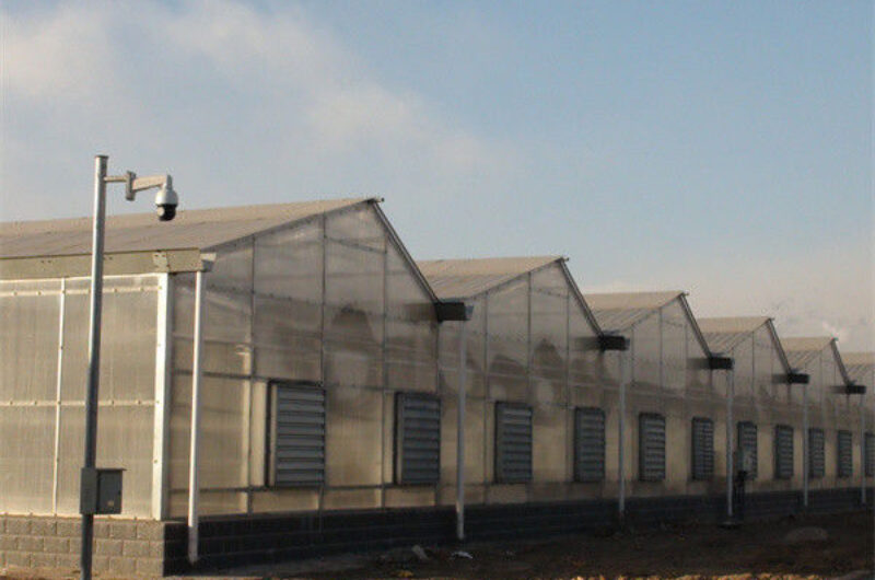 Strong Metal Frame Greenhouse Automatic Systems Solar Energy Green House