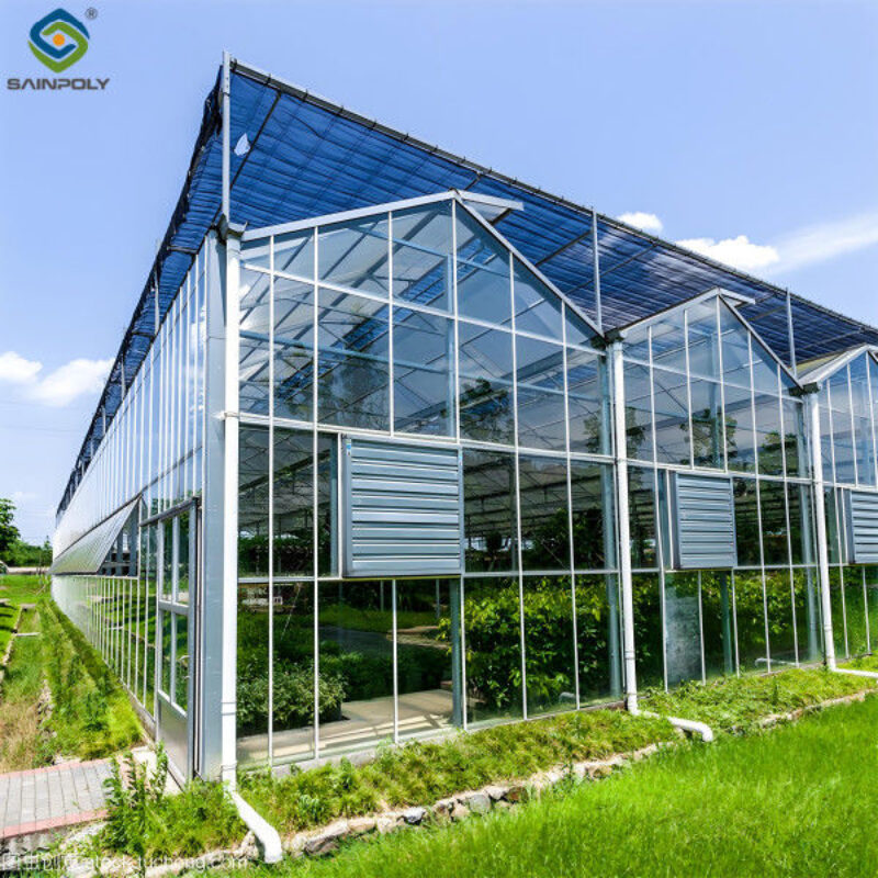 Strong Structure Galvanized Venlo Type Greenhouse Commerical Green House