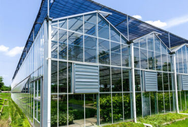 Strong Structure Galvanized Venlo Type Greenhouse Commerical Green House