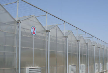 Strong Structure Galvanized Venlo Type Greenhouse Commerical Green House