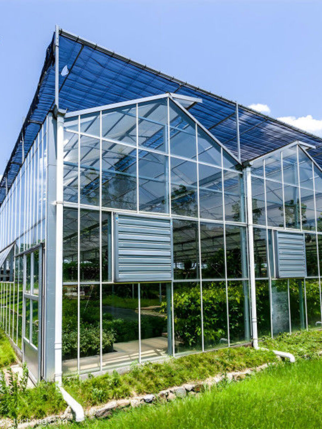 Strong Structure Galvanized Venlo Type Greenhouse Commerical Green House