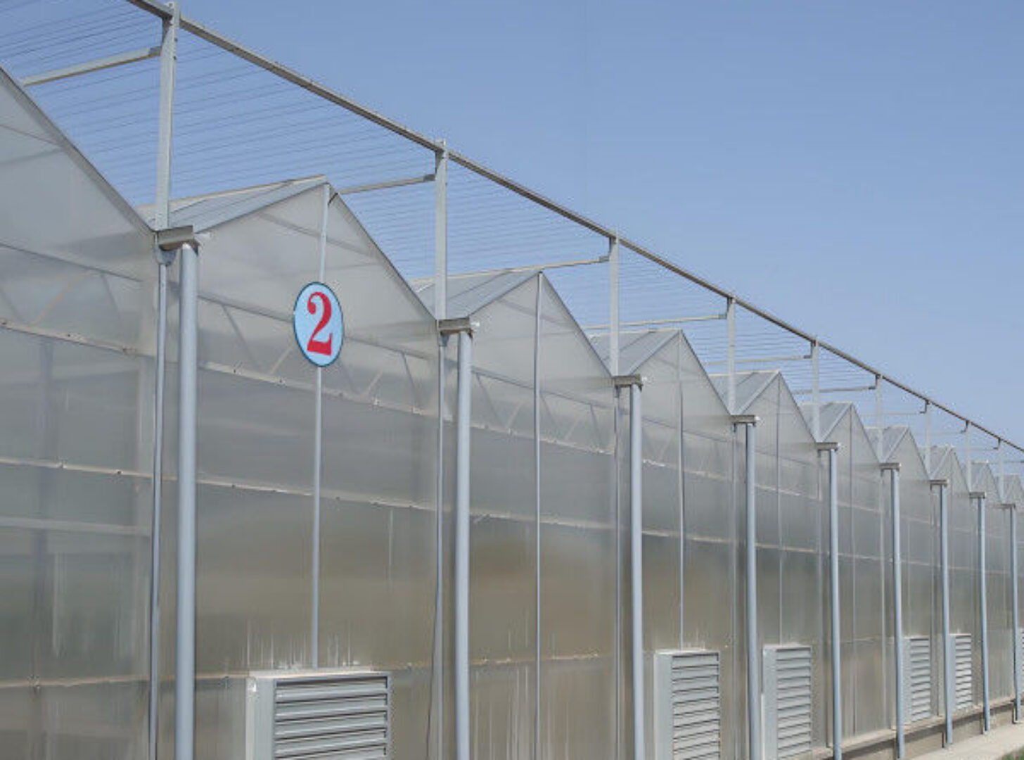 Strong Structure Galvanized Venlo Type Greenhouse Commerical Green House