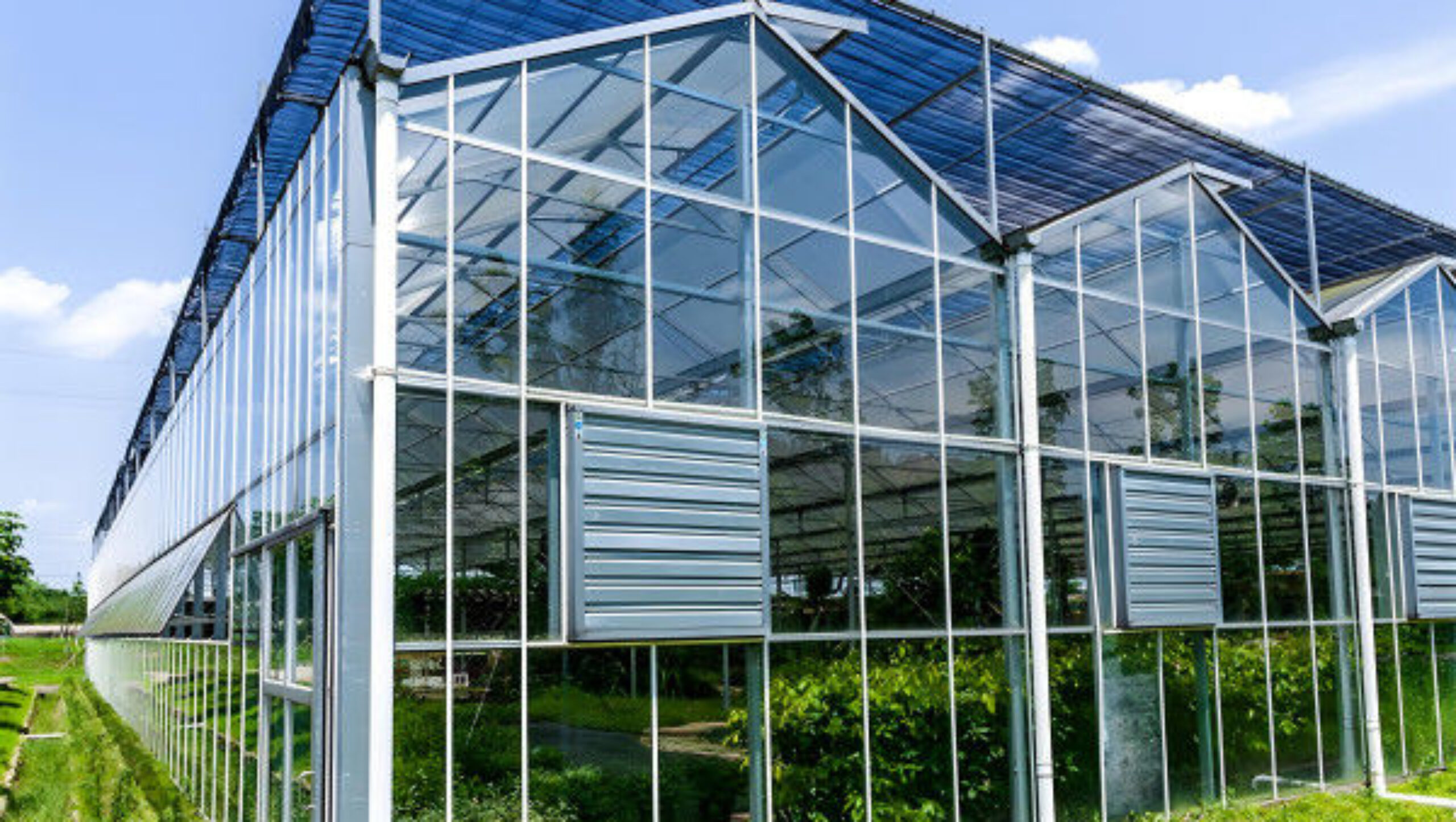 Strong Structure Galvanized Venlo Type Greenhouse Commerical Green House