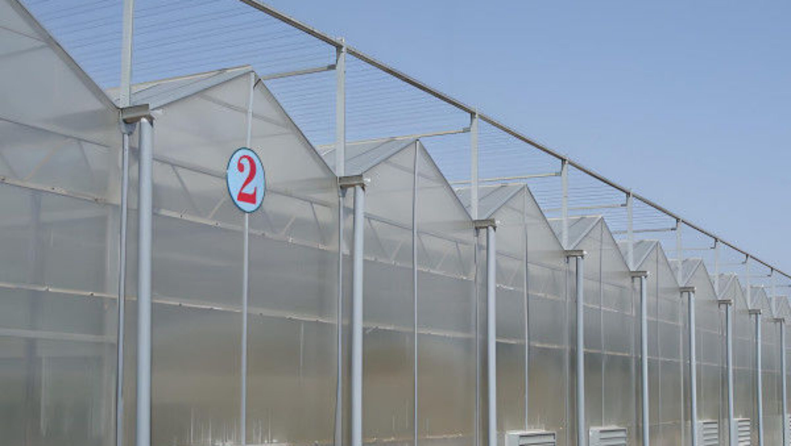Strong Structure Galvanized Venlo Type Greenhouse Commerical Green House