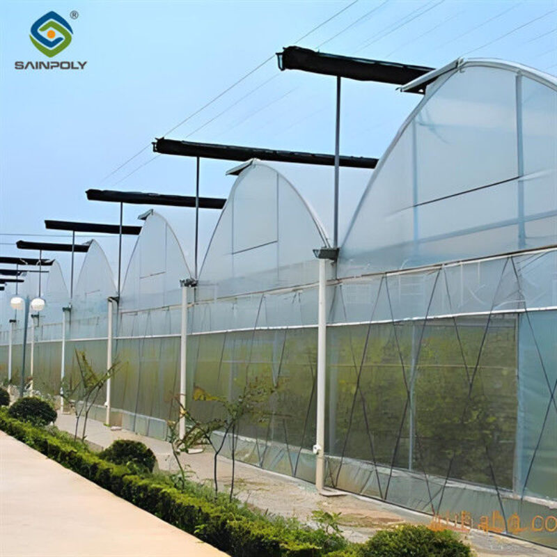 Strong Ventilation Plastic Film Greenhouse With Hydroponic Growing System