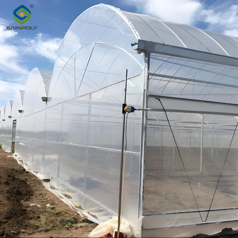 Strong Ventilation Plastic Film Greenhouse With Hydroponic Growing System