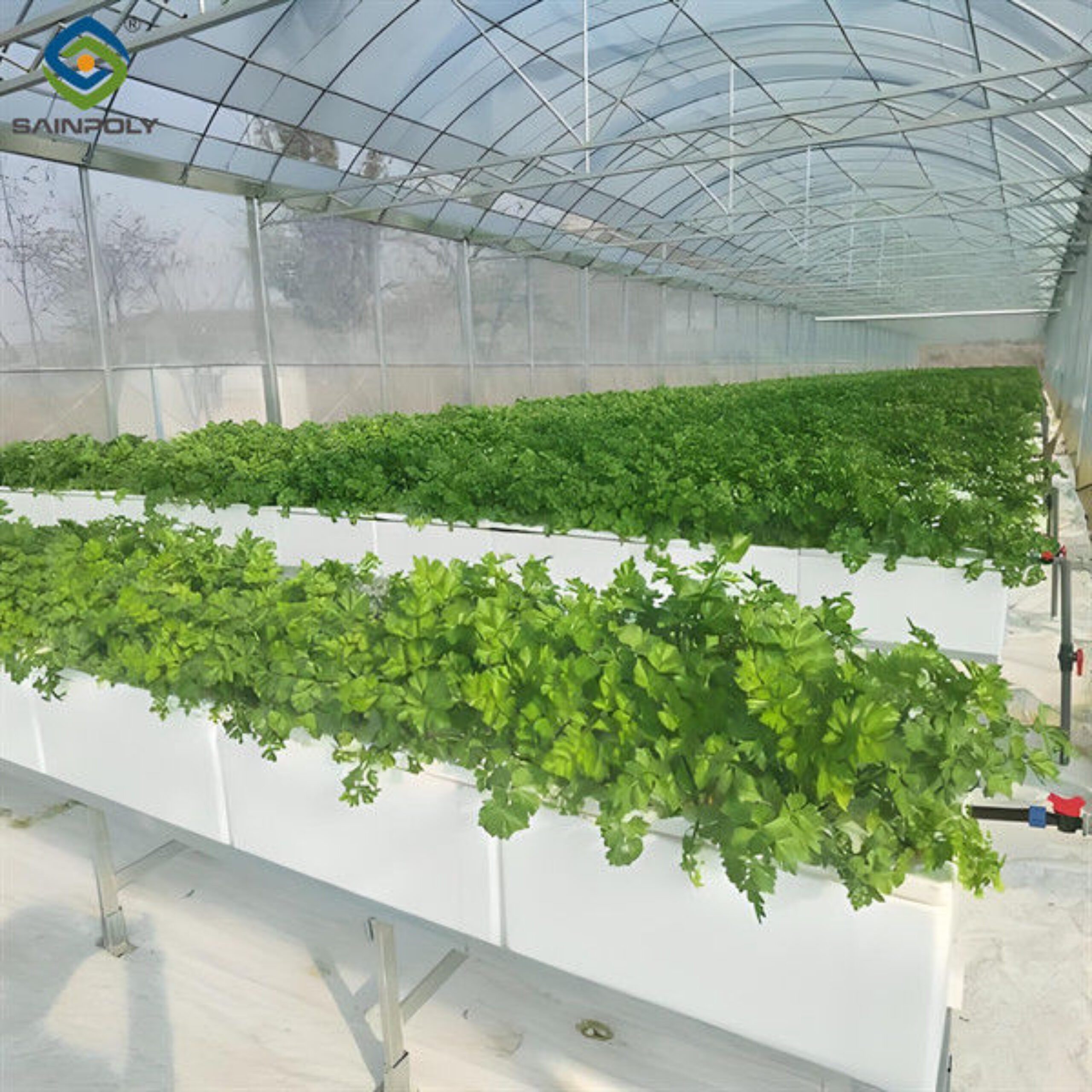 Strong Ventilation Plastic Film Greenhouse With Hydroponic Growing System