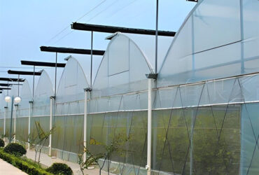 Strong Ventilation Plastic Film Greenhouse With Hydroponic Growing System