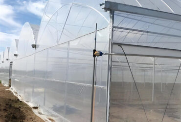 Strong Ventilation Plastic Film Greenhouse With Hydroponic Growing System