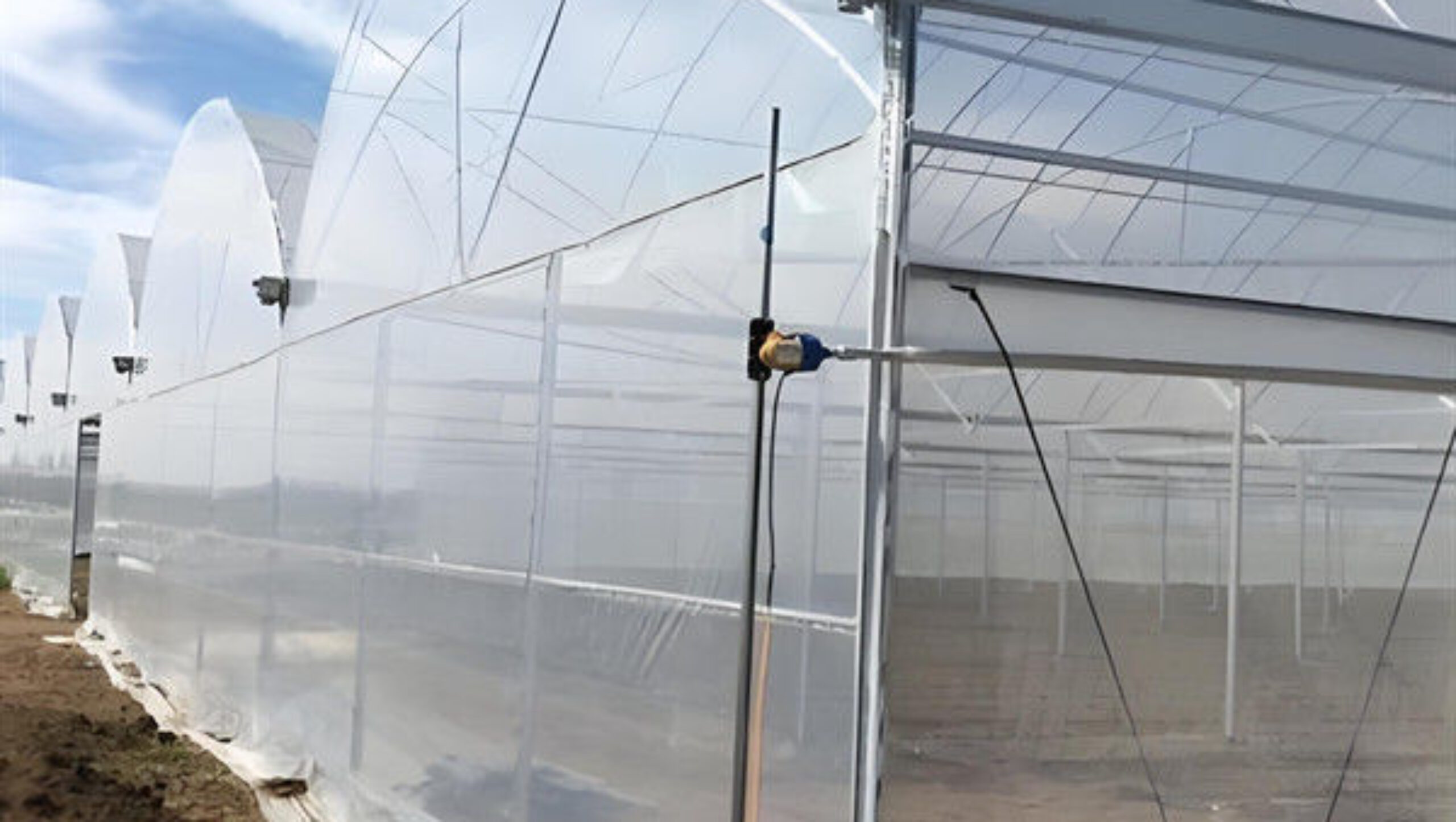 Strong Ventilation Plastic Film Greenhouse With Hydroponic Growing System