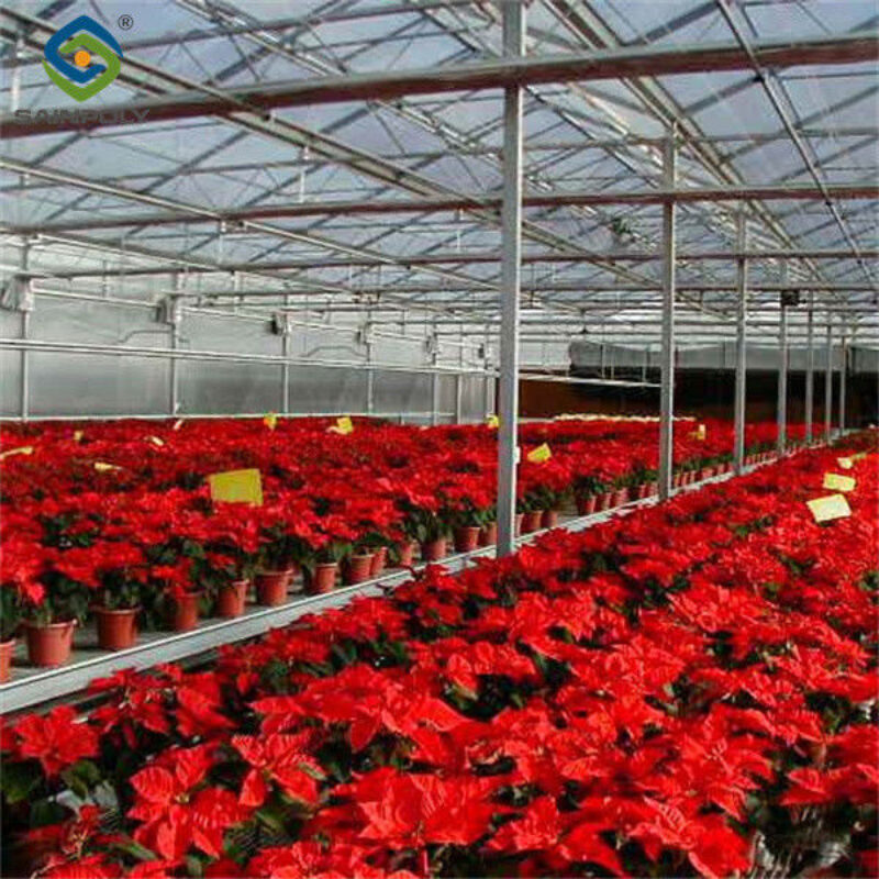 Stronger Structure Flower Greenhouse Waterproofing Weather Resistant