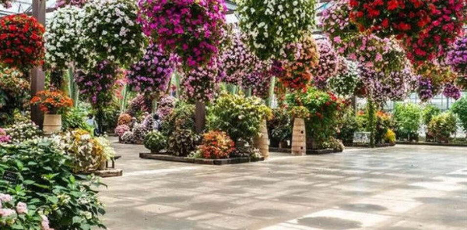 Stronger Structure Flower Greenhouse Waterproofing Weather Resistant
