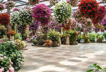 Stronger Structure Flower Greenhouse Waterproofing Weather Resistant