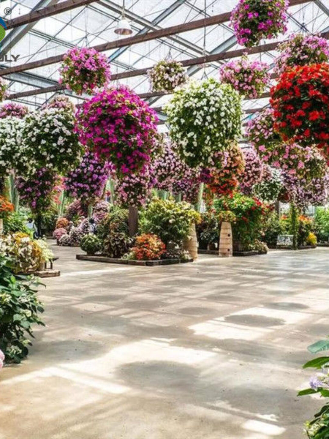 Stronger Structure Flower Greenhouse Waterproofing Weather Resistant