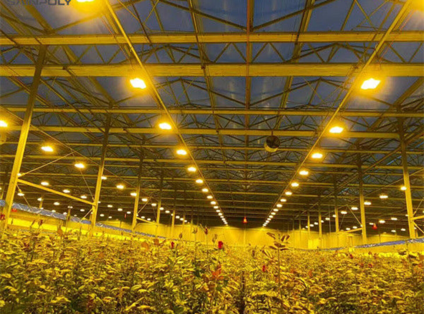 Stronger Structure Flower Greenhouse Waterproofing Weather Resistant