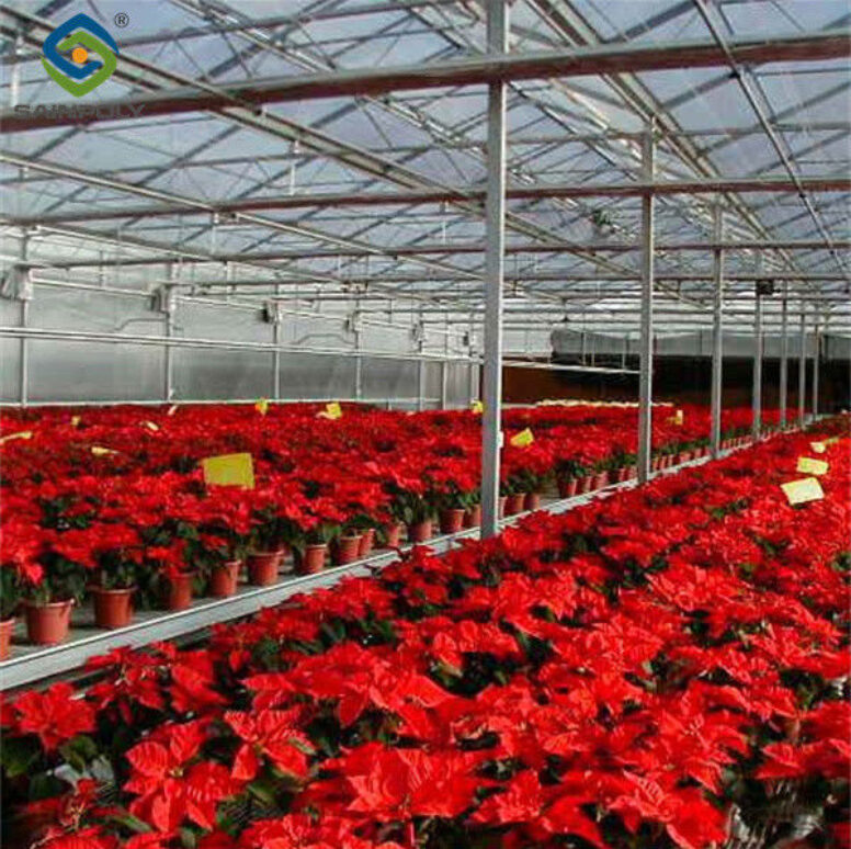 Stronger Structure Flower Greenhouse Waterproofing Weather Resistant