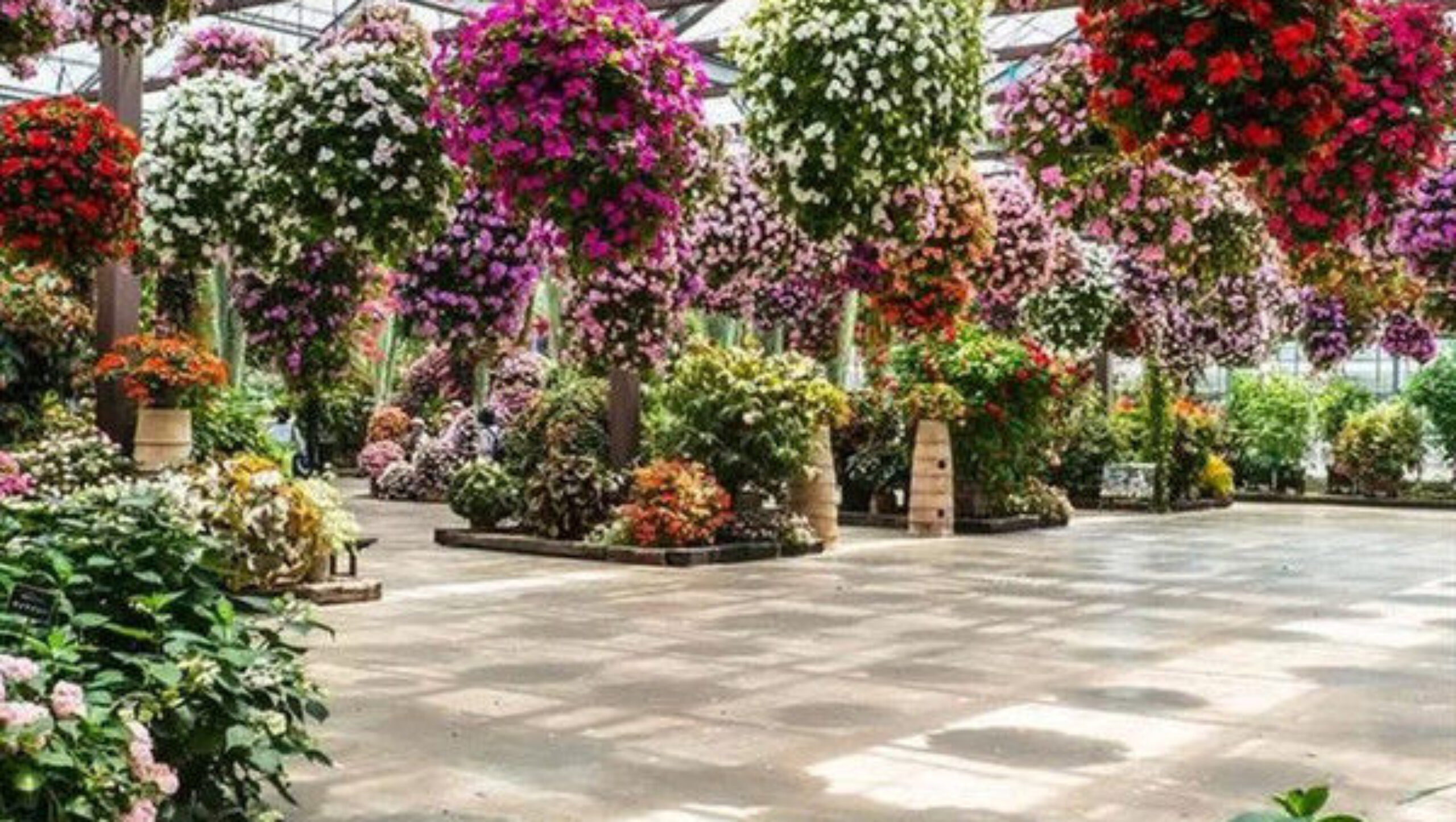 Stronger Structure Flower Greenhouse Waterproofing Weather Resistant