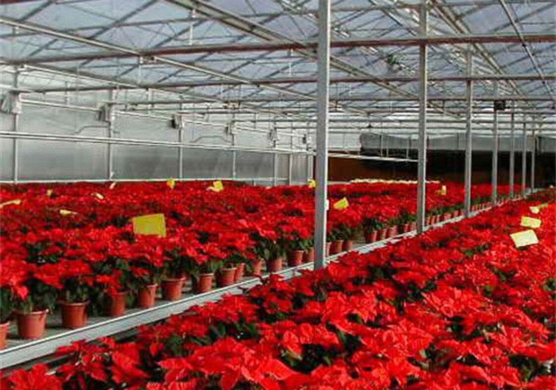 Stronger Structure Flower Greenhouse Waterproofing Weather Resistant