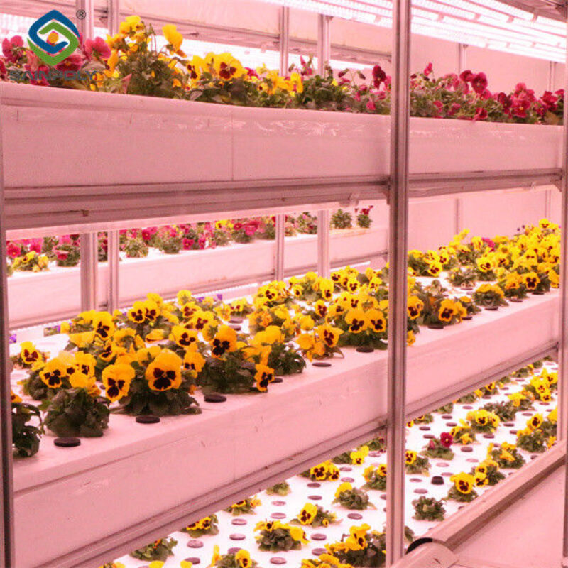 Structural Frame Polycarbonate Glass Greenhouse For Flower Growth