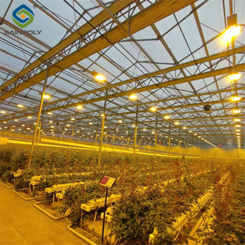 Structural Frame Polycarbonate Glass Greenhouse For Flower Growth