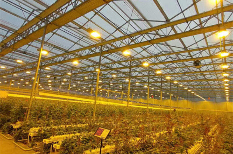 Structural Frame Polycarbonate Glass Greenhouse For Flower Growth