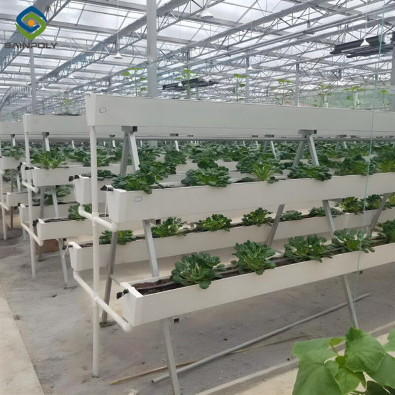 Substrate Cultivation Outdoor Hydroponics Greenhouse Weather Resistance