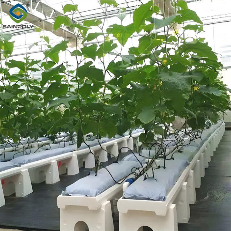 Substrate Cultivation Outdoor Hydroponics Greenhouse Weather Resistance