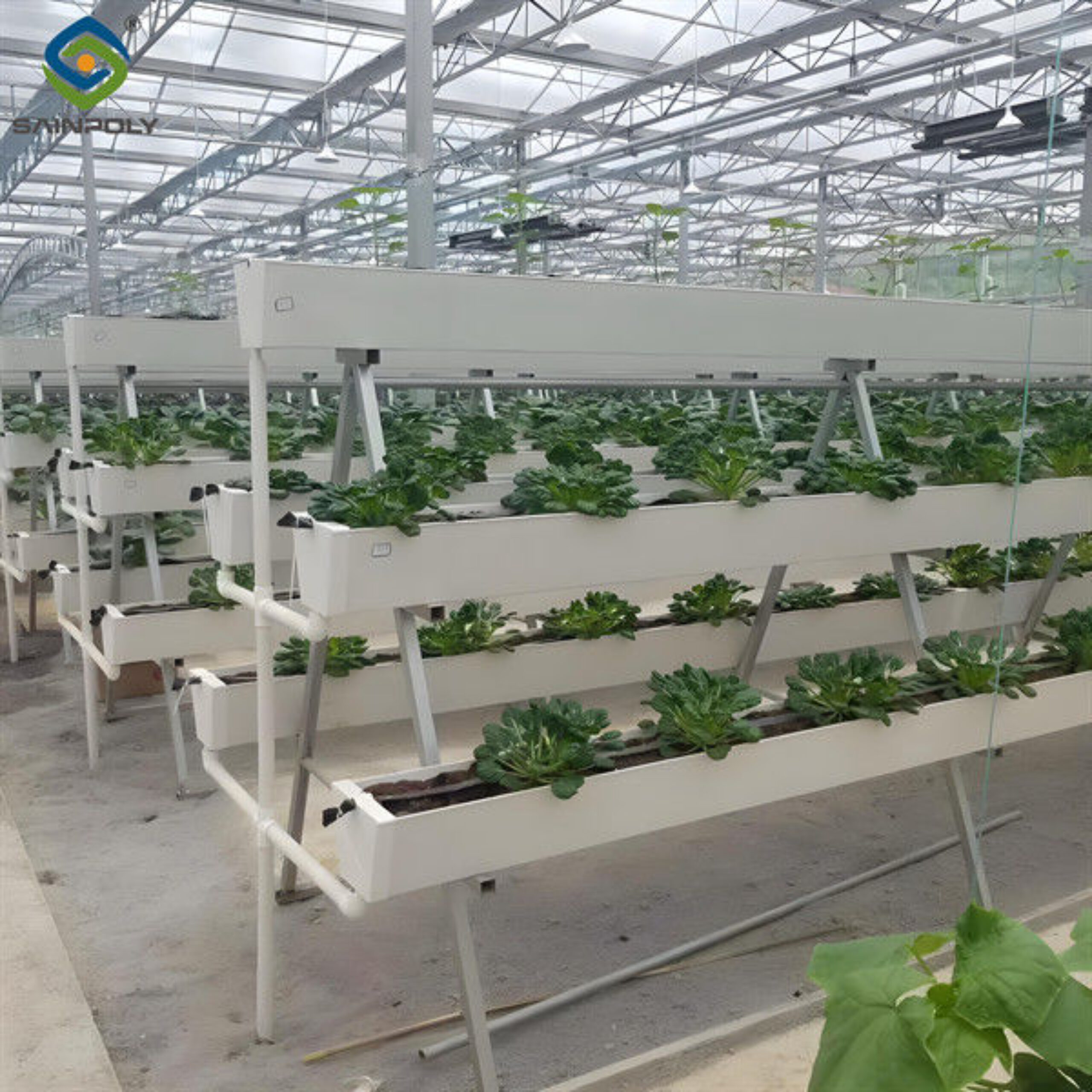 Substrate Cultivation Outdoor Hydroponics Greenhouse Weather Resistance