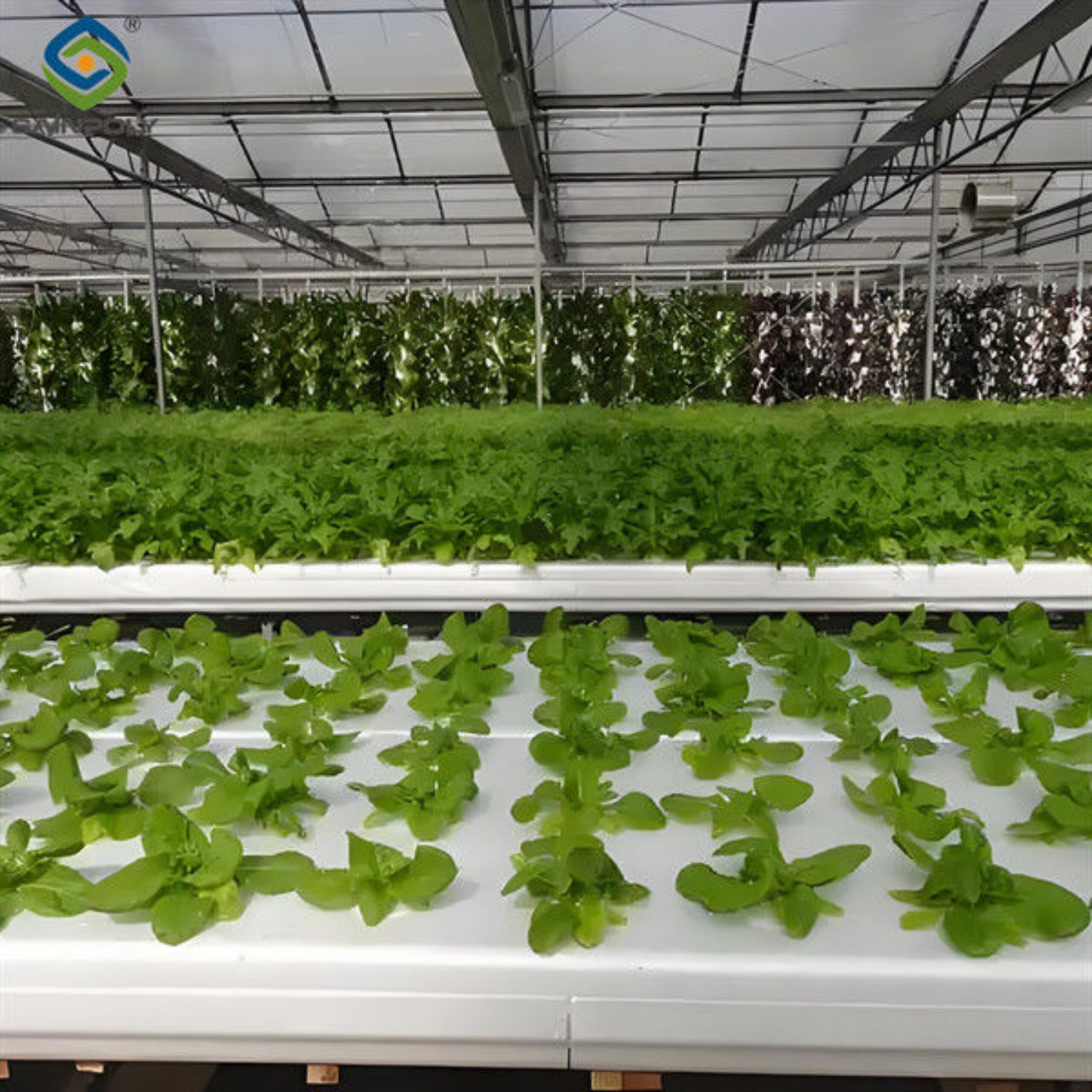 Substrate Cultivation Outdoor Hydroponics Greenhouse Weather Resistance