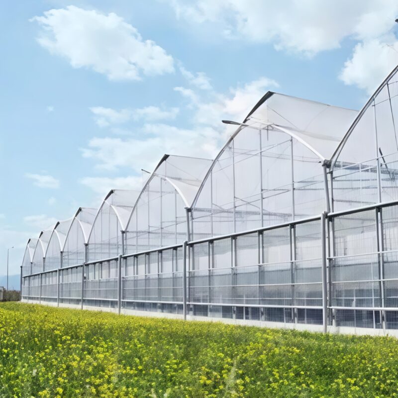 (Suitable for High-End Flowers) Peak Lighting Commercial Gothic Greenhouse Manufacturer Factory |