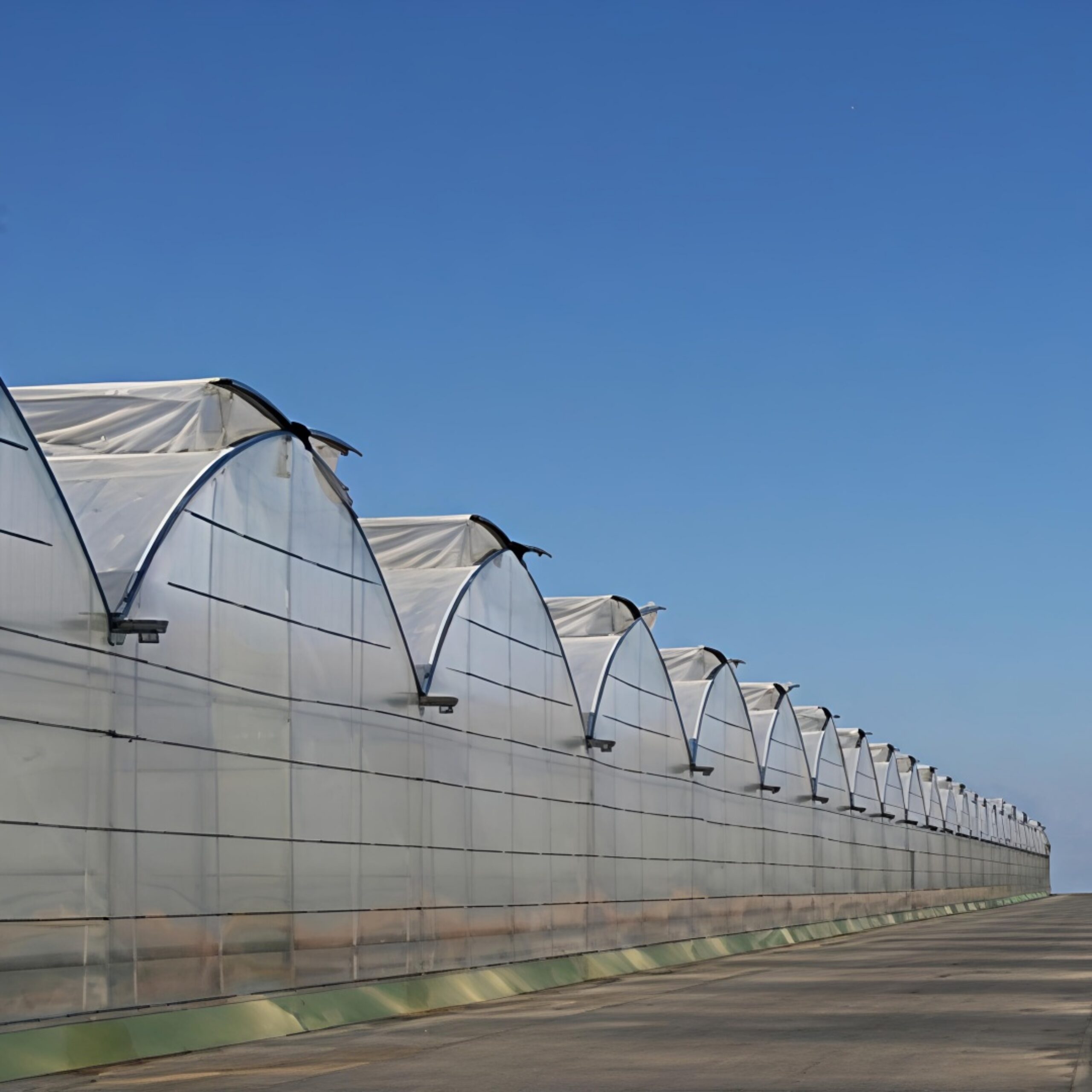 (Suitable for High-End Flowers) Peak Lighting Commercial Gothic Greenhouse Manufacturer Factory |