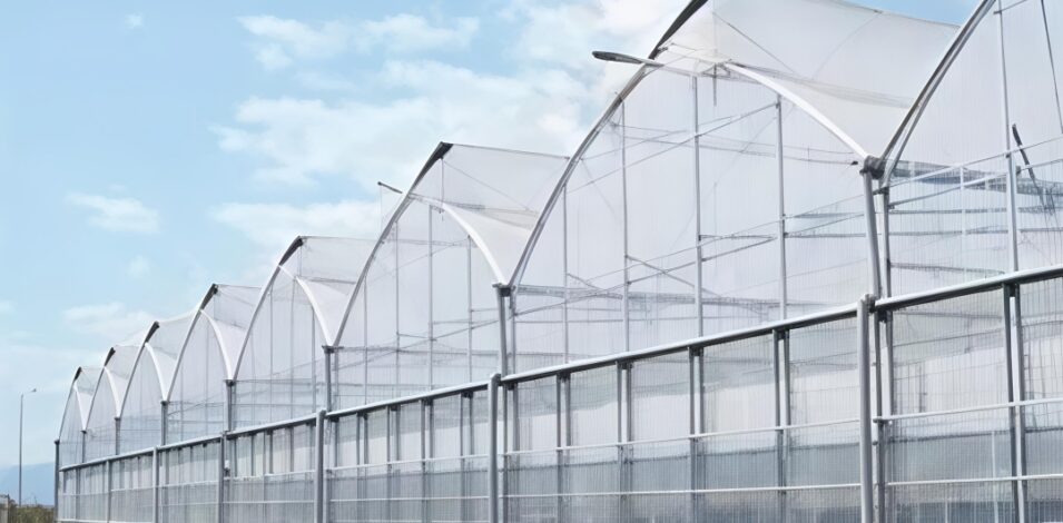 Gothic Greenhouse structure and growing equipment options