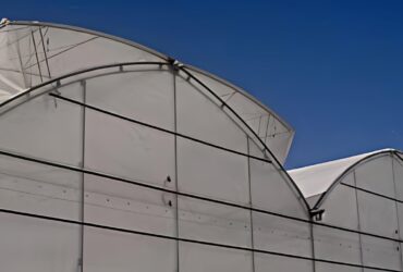 (Suitable for High-End Flowers) Peak Lighting Commercial Gothic Greenhouse Manufacturer Factory |