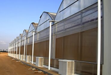 (Suitable for High-End Flowers) Peak Lighting Commercial Gothic Greenhouse Manufacturer Factory |
