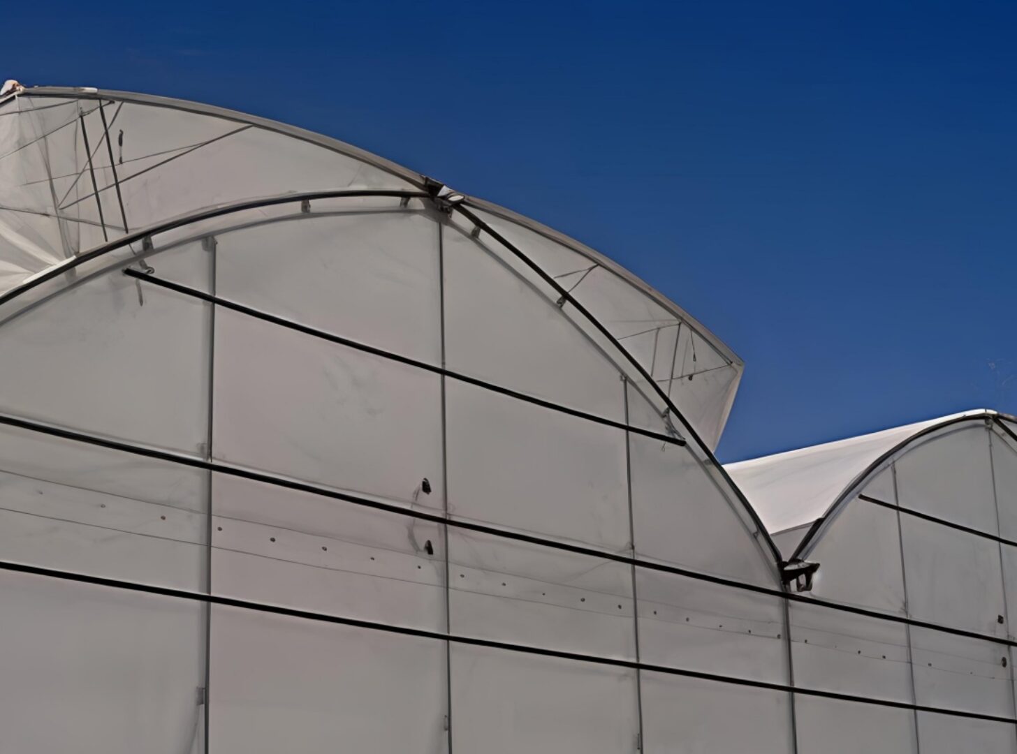 (Suitable for High-End Flowers) Peak Lighting Commercial Gothic Greenhouse Manufacturer Factory |