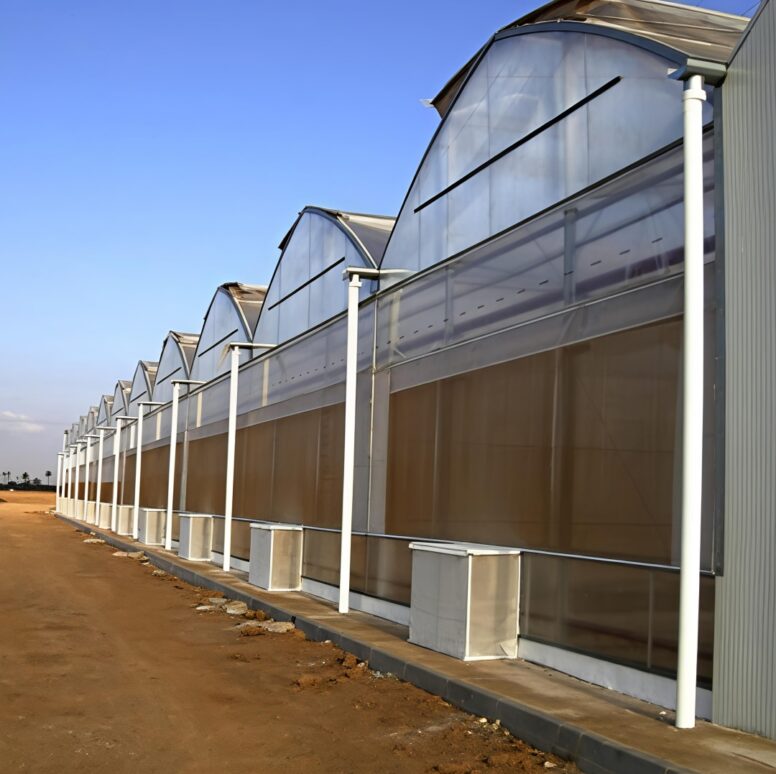 (Suitable for High-End Flowers) Peak Lighting Commercial Gothic Greenhouse Manufacturer Factory |