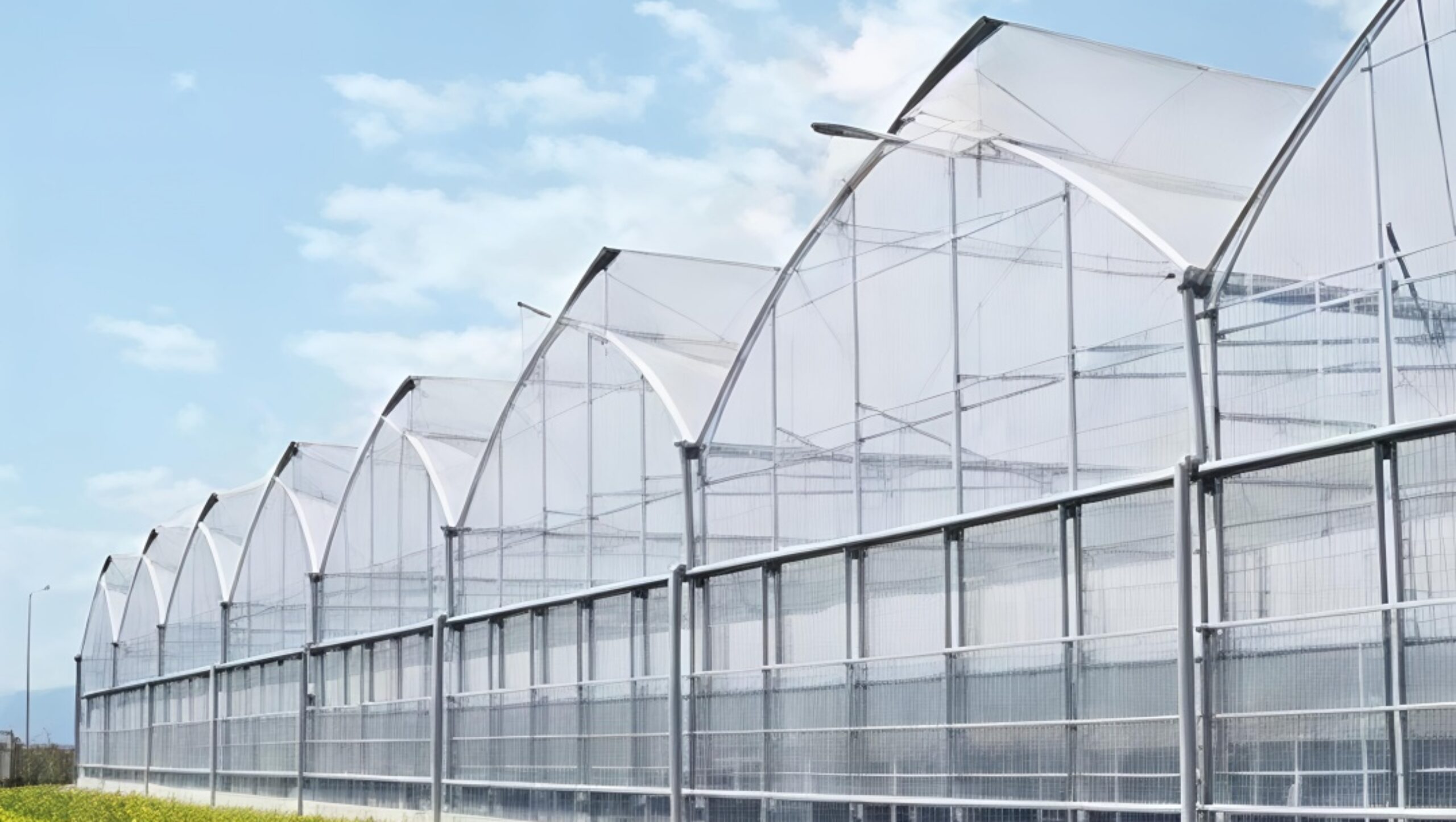 (Suitable for High-End Flowers) Peak Lighting Commercial Gothic Greenhouse Manufacturer Factory |