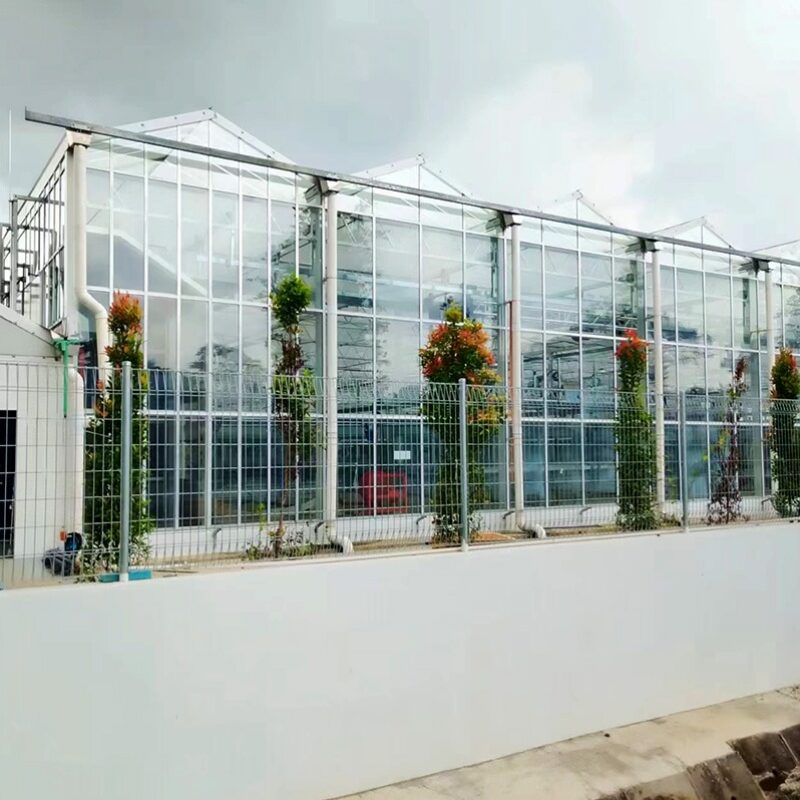 (Suitable for Special Crops) High-Safety Environmental Control Commercial Semi-Closed Multi-Span