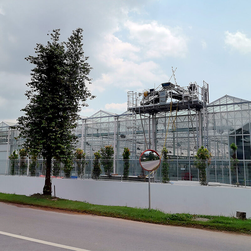 (Suitable for Special Crops) High-Safety Environmental Control Commercial Semi-Closed Multi-Span