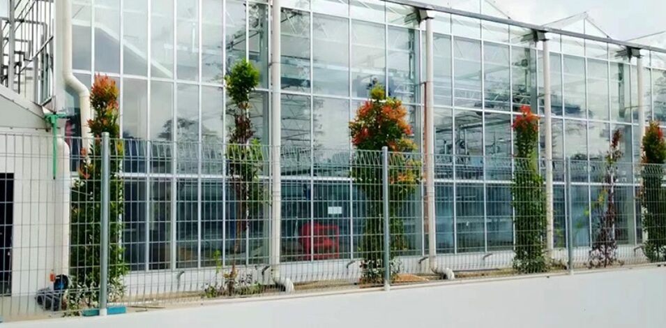 (Suitable for Special Crops) High-Safety Environmental Control Commercial Semi-Closed Multi-Span