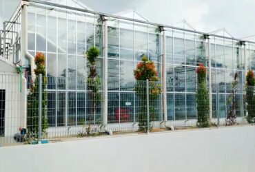 (Suitable for Special Crops) High-Safety Environmental Control Commercial Semi-Closed Multi-Span