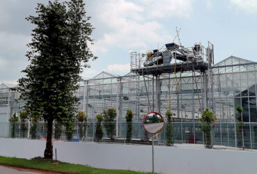 (Suitable for Special Crops) High-Safety Environmental Control Commercial Semi-Closed Multi-Span