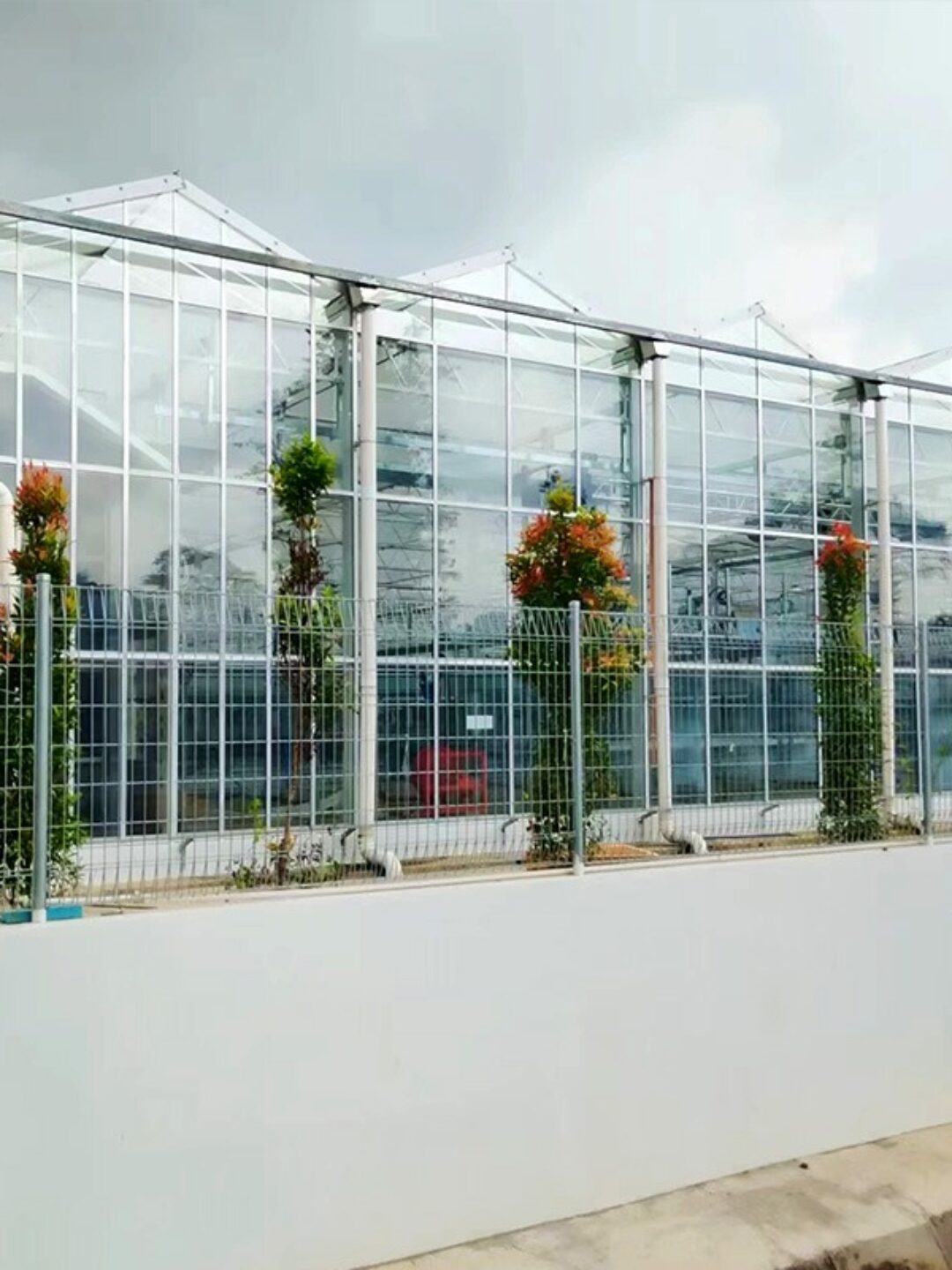 (Suitable for Special Crops) High-Safety Environmental Control Commercial Semi-Closed Multi-Span
